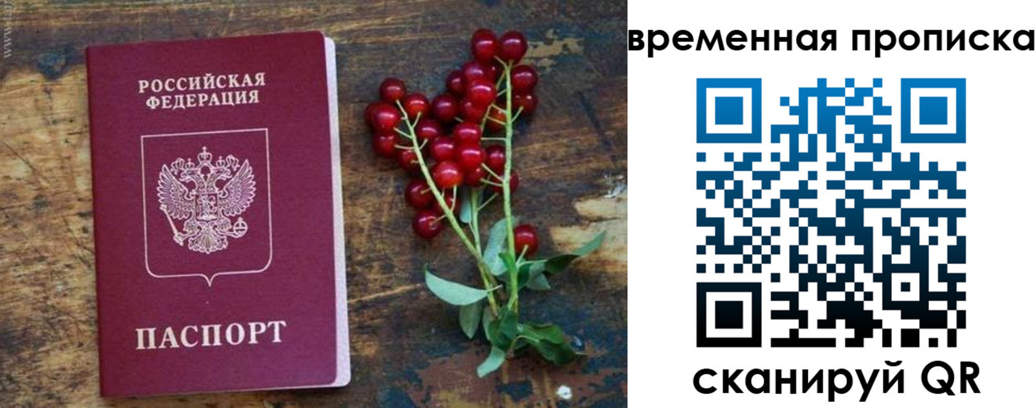временная регистрация гарантия в Михайловске